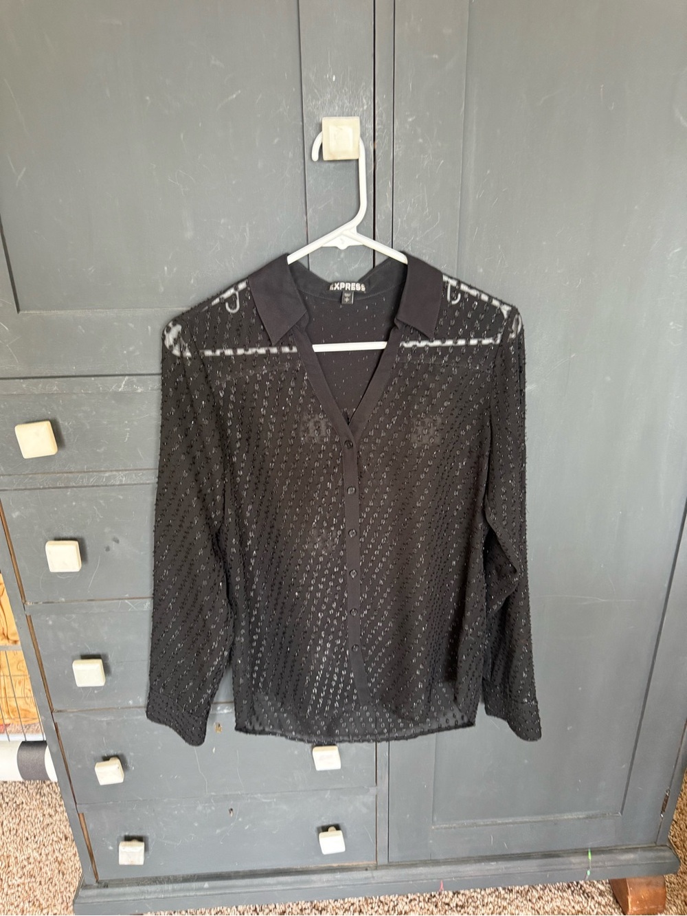 Express Black Sheer Button-Down Blouse